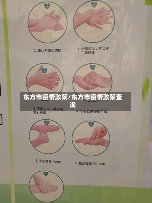 东方市疫情政策/东方市疫情政策查询