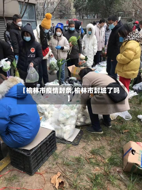 【榆林市疫情封条,榆林市封城了吗】-第2张图片