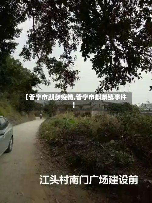 【普宁市麒麟疫情,普宁市麒麟镇事件】-第3张图片