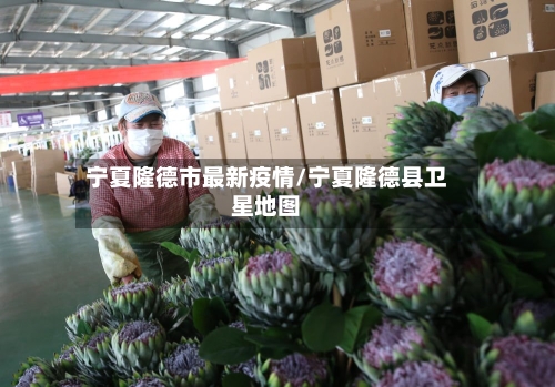 宁夏隆德市最新疫情/宁夏隆德县卫星地图