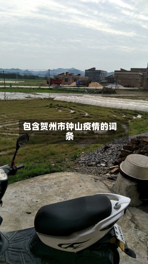 包含贺州市钟山疫情的词条-第2张图片