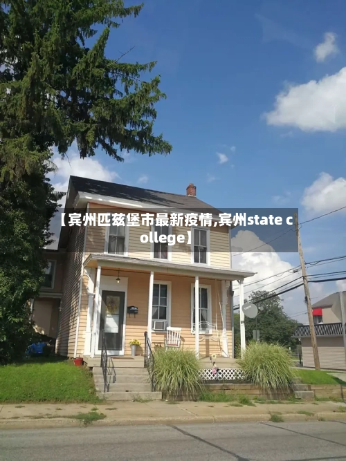 【宾州匹兹堡市最新疫情,宾州state college】