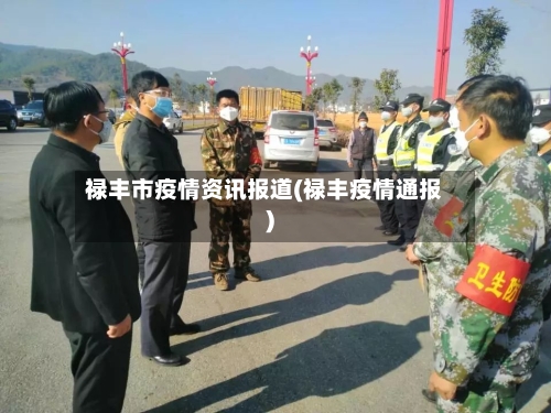 禄丰市疫情资讯报道(禄丰疫情通报)-第2张图片