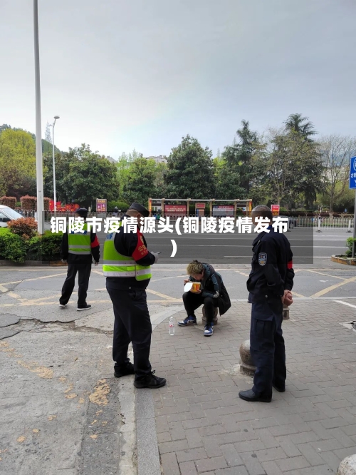 铜陵市疫情源头(铜陵疫情发布)