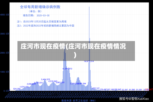 庄河市现在疫情(庄河市现在疫情情况)