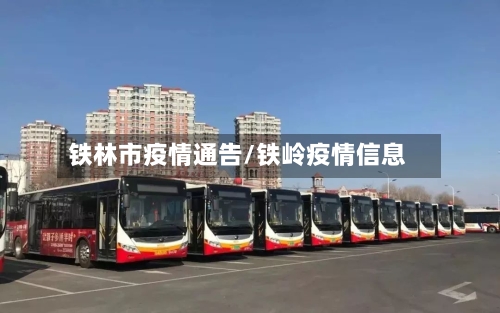 铁林市疫情通告/铁岭疫情信息