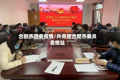 合肥市团委疫情/共青团合肥市委员会地址-第2张图片