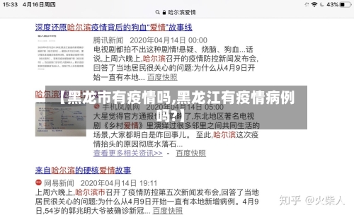 【黑龙市有疫情吗,黑龙江有疫情病例吗?】-第2张图片