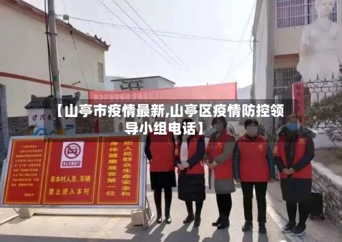 【山亭市疫情最新,山亭区疫情防控领导小组电话】-第2张图片