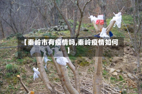 【秦岭市有疫情吗,秦岭疫情如何】