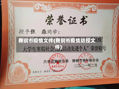 舞钢市疫情文件(舞钢市疫情防控文件)