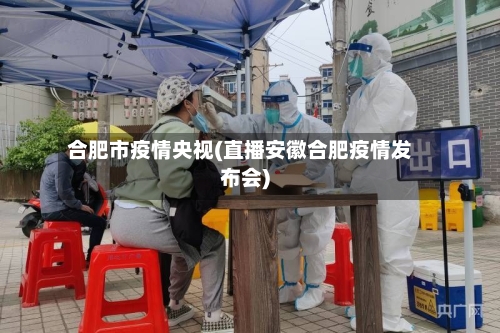 合肥市疫情央视(直播安徽合肥疫情发布会)-第2张图片