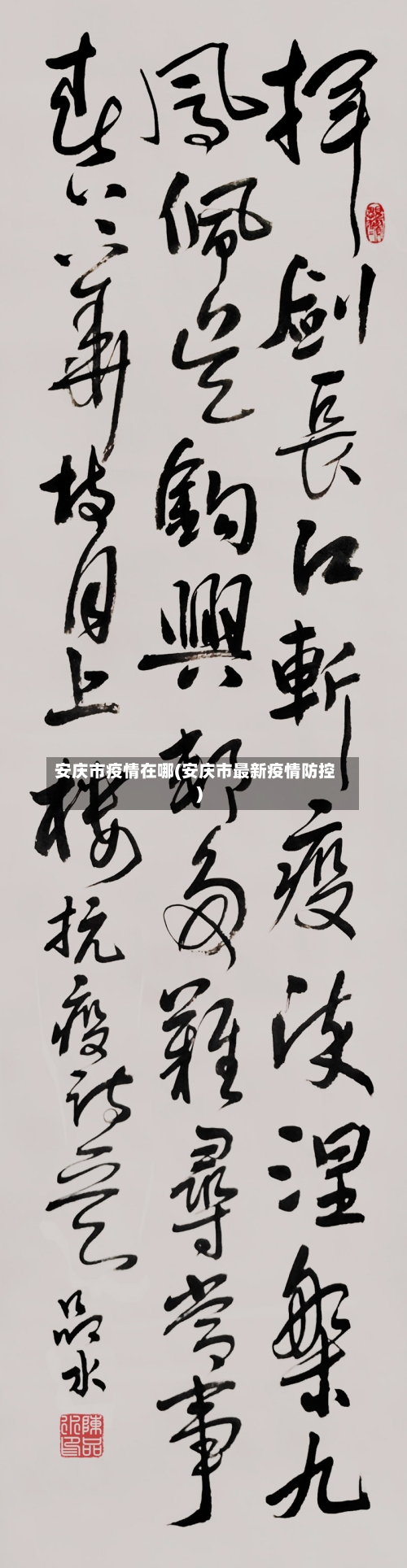 安庆市疫情在哪(安庆市最新疫情防控)-第2张图片