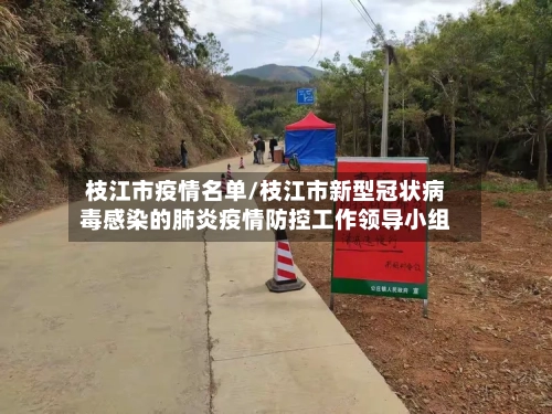 枝江市疫情名单/枝江市新型冠状病毒感染的肺炎疫情防控工作领导小组