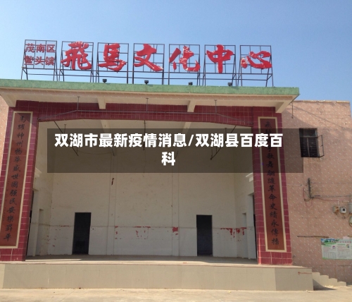 双湖市最新疫情消息/双湖县百度百科