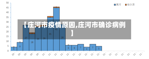 【庄河市疫情原因,庄河市确诊病例】