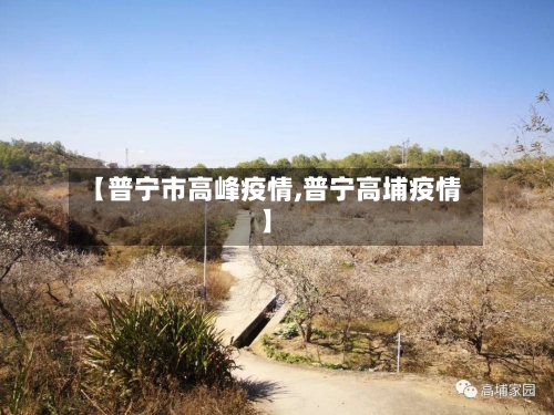 【普宁市高峰疫情,普宁高埔疫情】-第3张图片