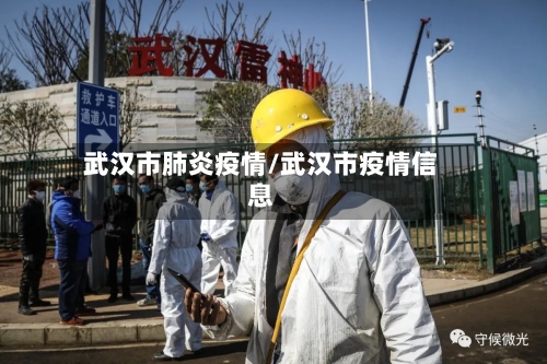 武汉市肺炎疫情/武汉市疫情信息