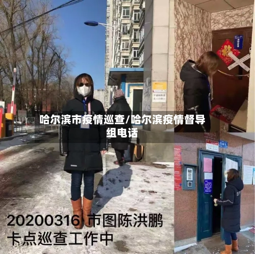 哈尔滨市疫情巡查/哈尔滨疫情督导组电话