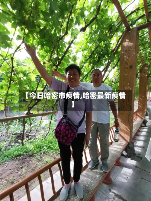 【今日哈密市疫情,哈密最新疫情】-第2张图片