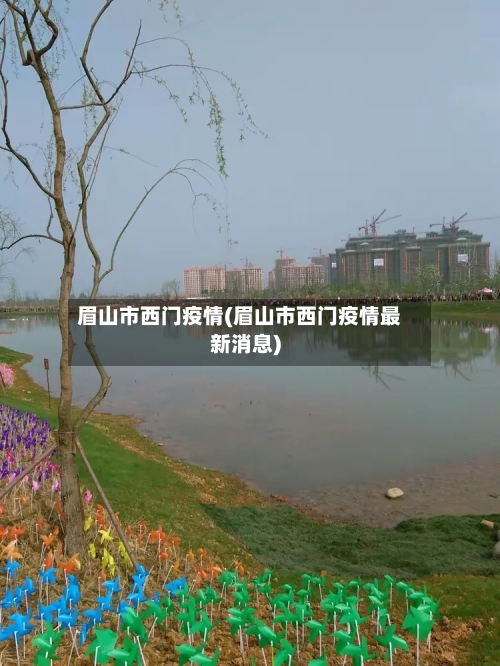 眉山市西门疫情(眉山市西门疫情最新消息)