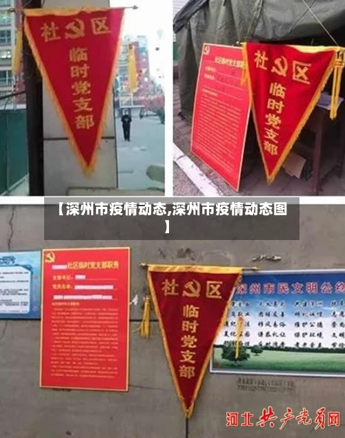 【深州市疫情动态,深州市疫情动态图】-第2张图片