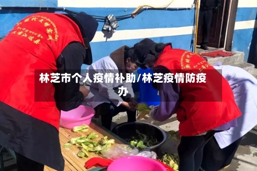 林芝市个人疫情补助/林芝疫情防疫办-第3张图片