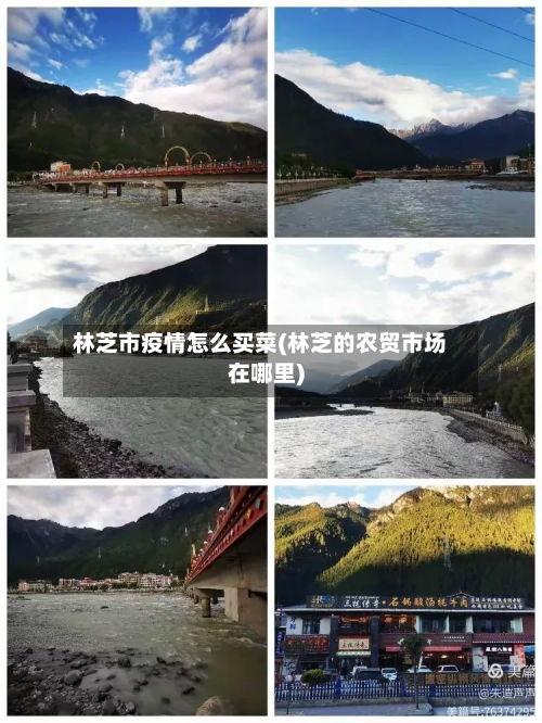 林芝市疫情怎么买菜(林芝的农贸市场在哪里)-第3张图片