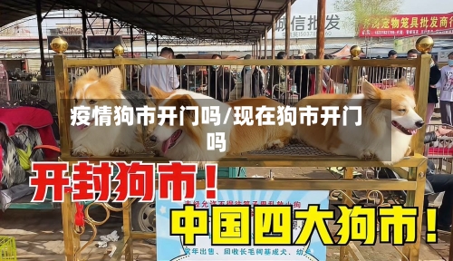 疫情狗市开门吗/现在狗市开门吗