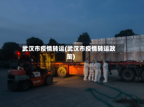 武汉市疫情转运(武汉市疫情转运政策)-第3张图片