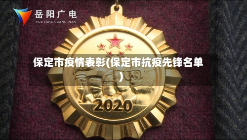 保定市疫情表彰(保定市抗疫先锋名单)