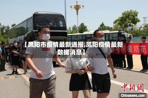 【凤阳市疫情最新通报,凤阳疫情最新数据消息】-第2张图片