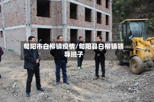 旬阳市白柳镇疫情/旬阳县白柳镇领导班子