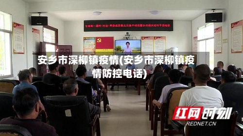 安乡市深柳镇疫情(安乡市深柳镇疫情防控电话)-第3张图片