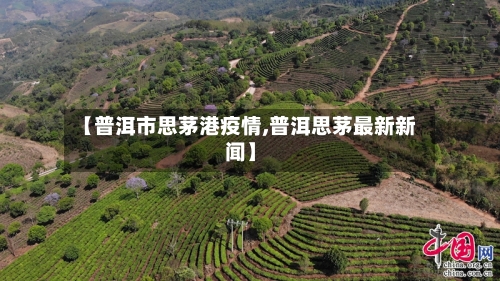 【普洱市思茅港疫情,普洱思茅最新新闻】-第3张图片