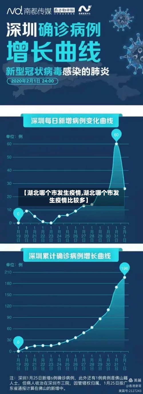 【湖北哪个市发生疫情,湖北哪个市发生疫情比较多】-第3张图片