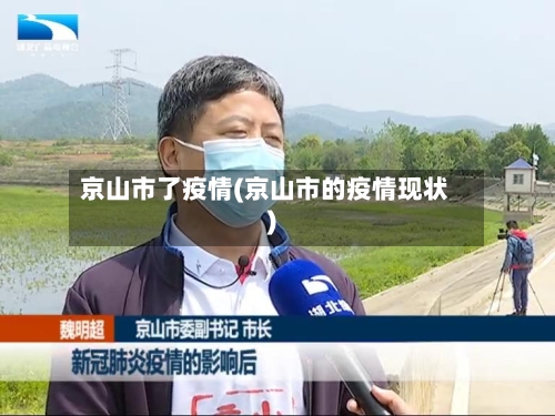 京山市了疫情(京山市的疫情现状)-第2张图片