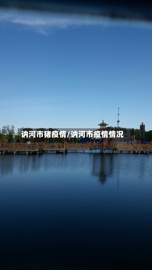 讷河市猪疫情/讷河市疫情情况