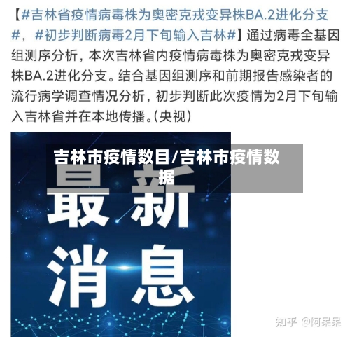 吉林市疫情数目/吉林市疫情数据