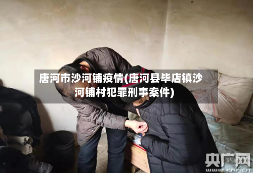 唐河市沙河铺疫情(唐河县毕店镇沙河铺村犯罪刑事案件)