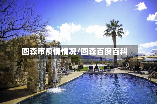 图森市疫情情况/图森百度百科