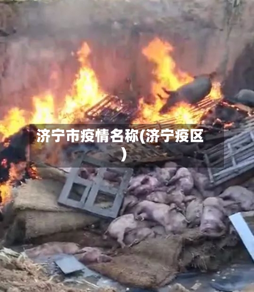 济宁市疫情名称(济宁疫区)