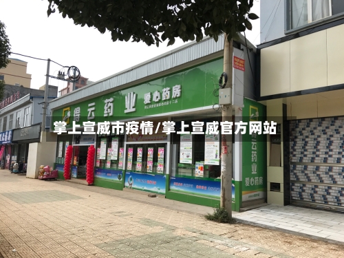 掌上宣威市疫情/掌上宣威官方网站-第3张图片