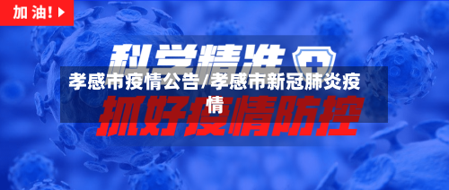 孝感市疫情公告/孝感市新冠肺炎疫情-第3张图片