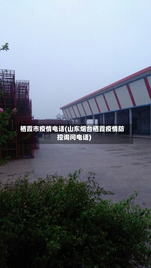 栖霞市疫情电话(山东烟台栖霞疫情防控询问电话)