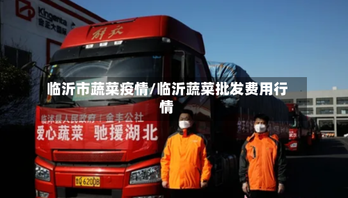 临沂市蔬菜疫情/临沂蔬菜批发费用行情-第2张图片