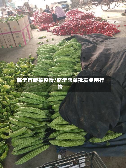 临沂市蔬菜疫情/临沂蔬菜批发费用行情-第3张图片