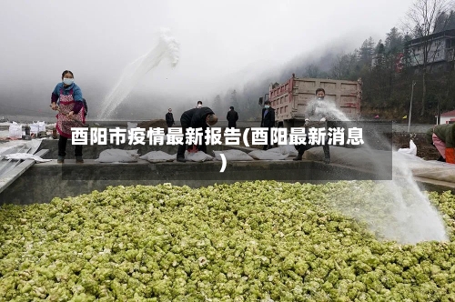 酉阳市疫情最新报告(酉阳最新消息)