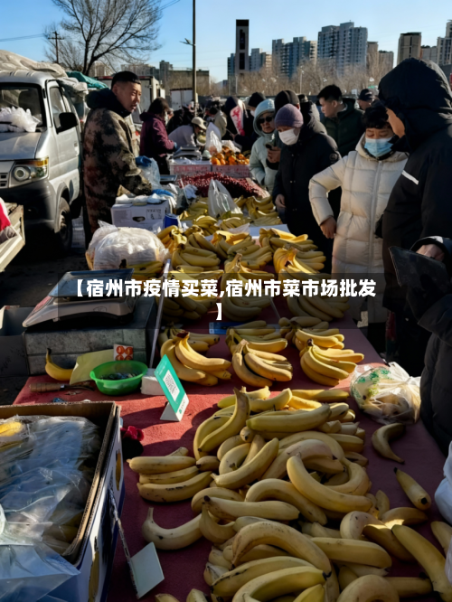 【宿州市疫情买菜,宿州市菜市场批发】