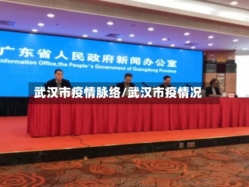 武汉市疫情脉络/武汉市疫情况